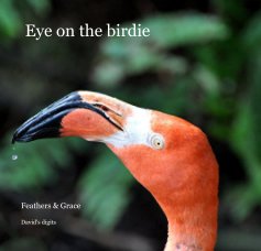 Eye on the birdie book cover