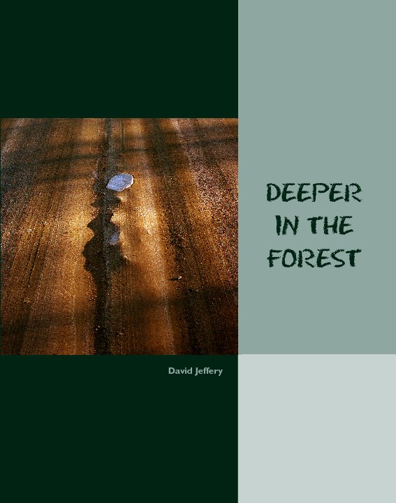 View Deeper in the Forest by David Jeffery