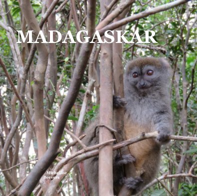 Madagaskar book cover