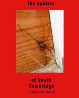 The Spiders of South Cambridge book cover