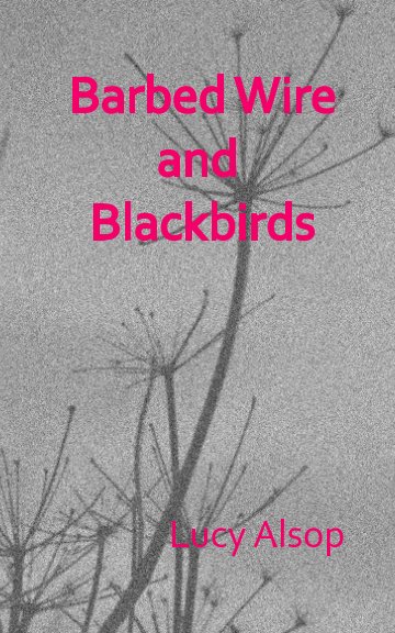 View Barbed Wire and Blackbirds by Lucy Alsop