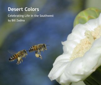 Desert Colors book cover