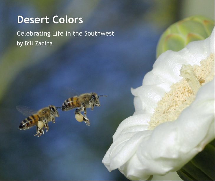 View Desert Colors by Bill Zadina