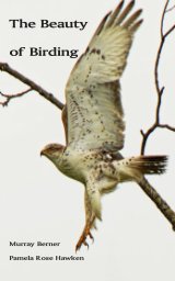 The Beauty of Birding book cover