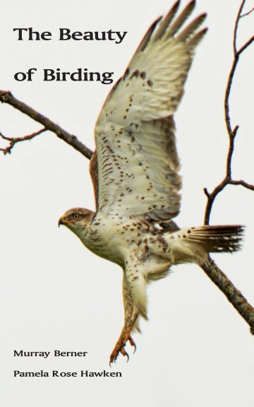 View The Beauty of Birding by Murray Berner and Pamela Rose Hawken