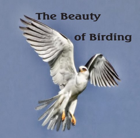 View The Beauty of Birding by Murray Berner and Pamela Rose Hawken