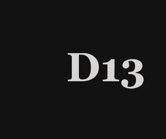 D13 book cover