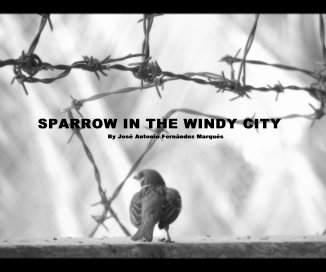 SPARROW IN THE WINDY CITY book cover