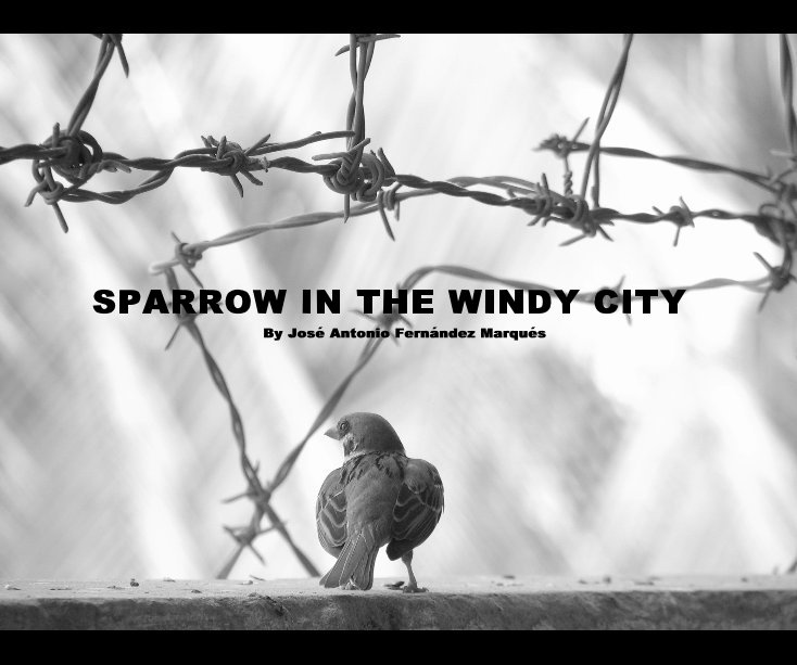 Bekijk SPARROW IN THE WINDY CITY op by Jose Antonio Fernandez Marques
