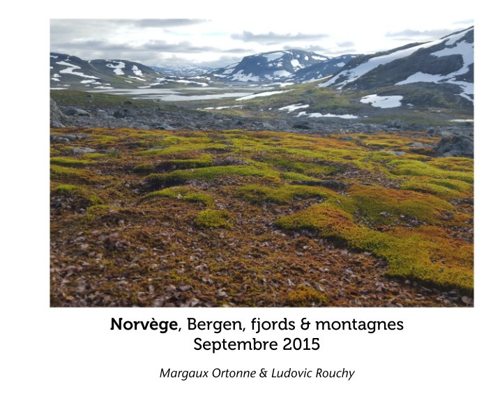 Ver Norvège, Bergen, fjords & montagnes por Margaux Ortonne & Ludovic Rouchy