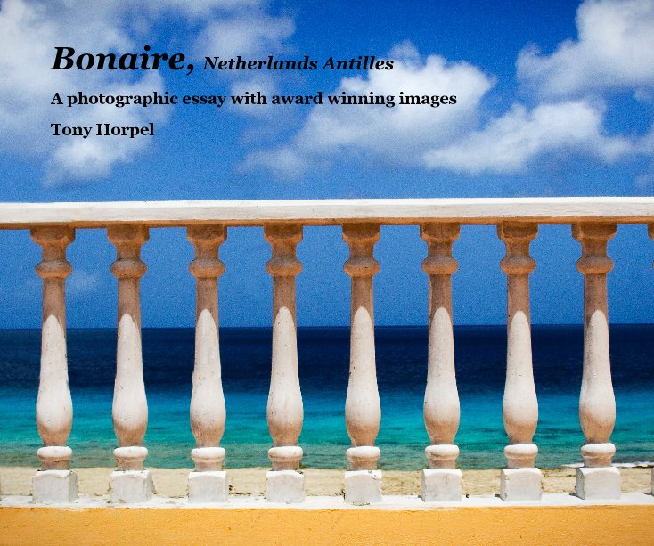 View Bonaire, Netherlands Antilles by Tony Horpel
