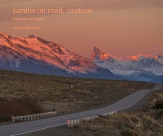 Lambs on road, caution! book cover