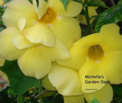 Michelle's Garden Oasis book cover
