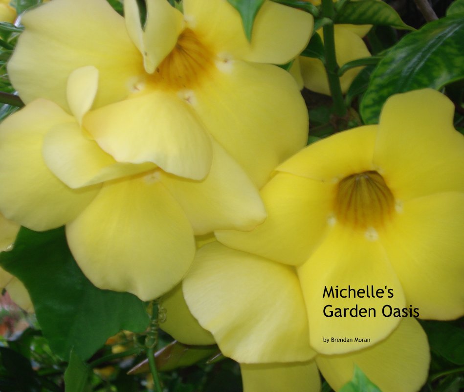 Ver Michelle's Garden Oasis por Brendan Moran