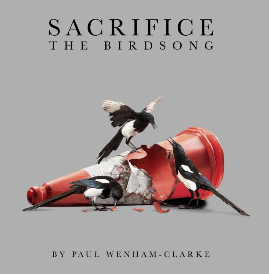 Bekijk Sacrifice the Bird Song op Paul Wenham-Clarke