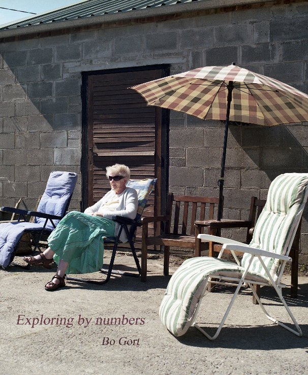 View Exploring by Numbers by Bo Gort