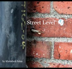 Street Level book cover