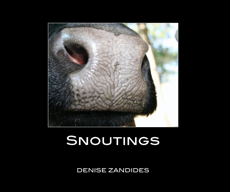 View Snoutings by DENISE ZANDIDES