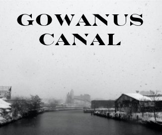 GOWANUS CANAL book cover