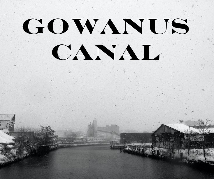 View GOWANUS CANAL by Kevin Lapp