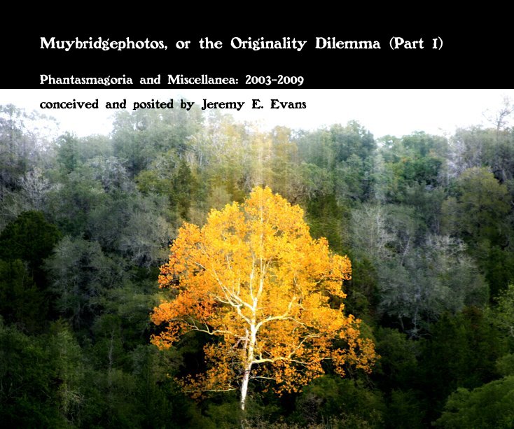 Ver Muybridgephotos, or the Originality Dilemma (Part I) por conceived and posited by Jeremy E. Evans