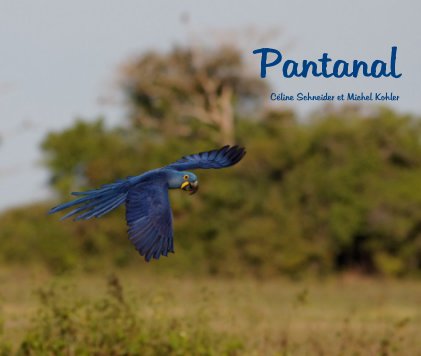 Pantanal book cover