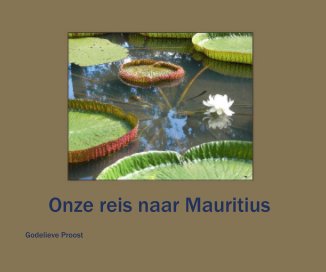 Onze reis naar Mauritius book cover