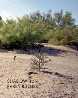 Shadow Run book cover