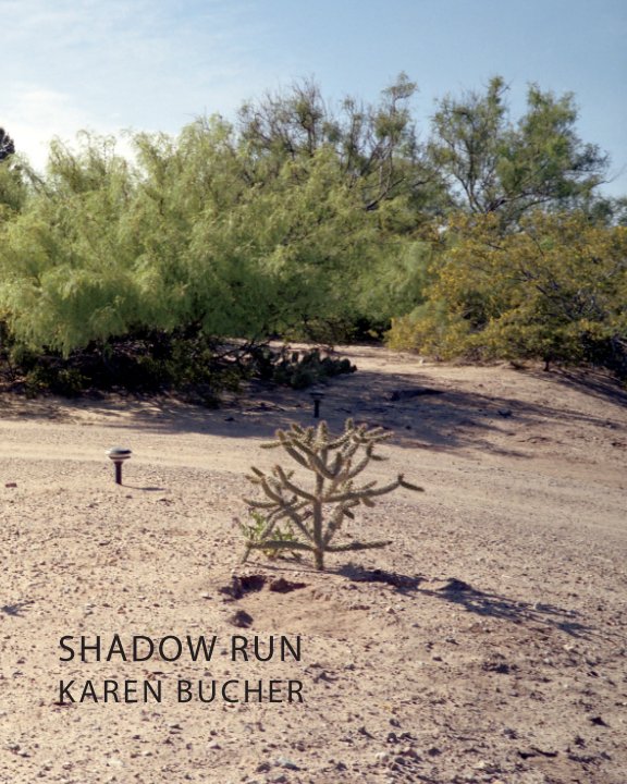 View Shadow Run by Karen Bucher