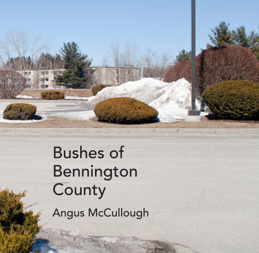 Ver Bushes Of Bennington County por Angus McCullough