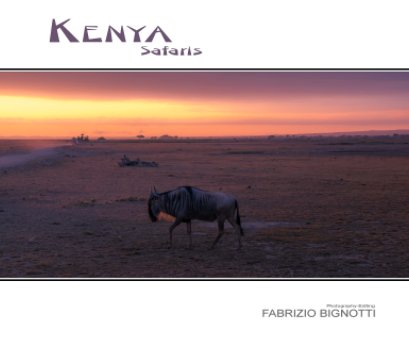 Kenya Safaris book cover