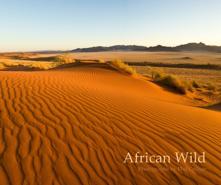 Visualizza African Wild di Phil Collyer