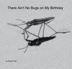 There Ain't No Bugs on My Birthday book cover