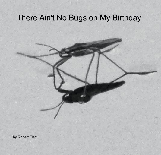 View There Ain't No Bugs on My Birthday by Robert Flatt