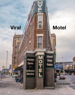 Viral Motel book cover