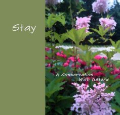 Stay book cover