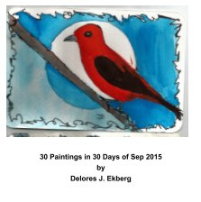 Bird Paintings book cover