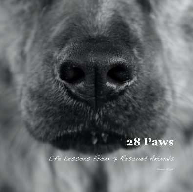 28 Paws book cover
