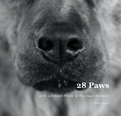 28 Paws (small) book cover