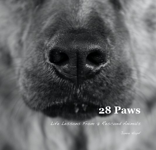 Ver 28 Paws (small) por Jamie Hopf