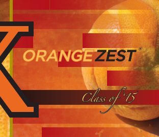OrangeZest 2015 book cover