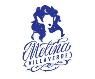 Melina Villaverde book cover