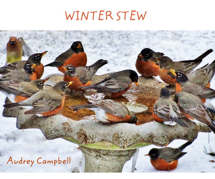 View WINTER STEW by Audrey Campbell