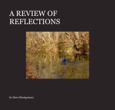 A REVIEW OF REFLECTIONS book cover
