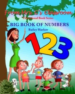 Big Book of Numbers book cover