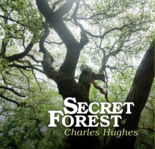 View The Secret Forest of Charles Hughes by Andrew Hughes
