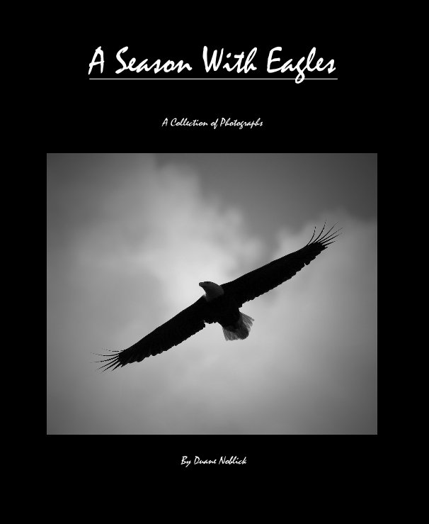 View A Season With Eagles by Duane Noblick