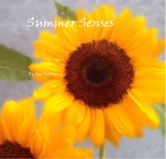 Summer Senses book cover