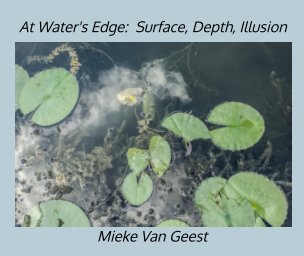 At Water's Edge:  Surface, Depth, Illusion book cover
