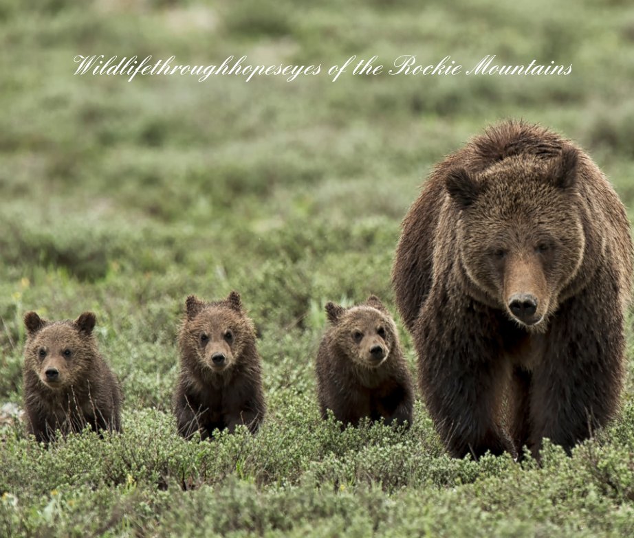 Visualizza Wildlifethroughhopeseyes of the Rockie Mountains di Mitchell Risenhoover